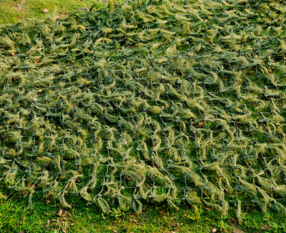 ���b�W(w��ng)�������L,��ֲ��һ�ӕ�����?3D��ӡ׌���b�W(w��ng)����